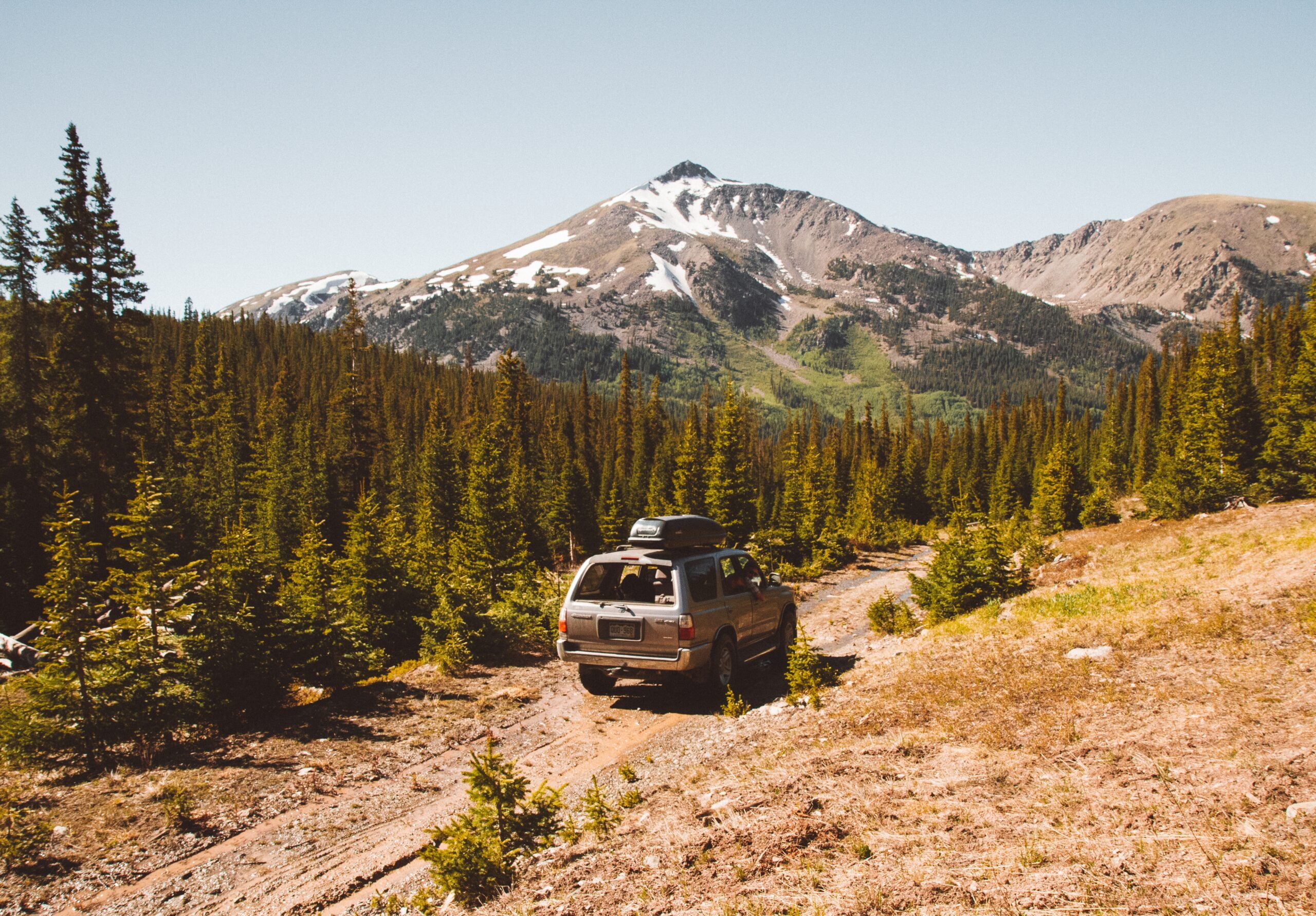 A car driving on a pathway in the middle of trees with mountain and a clear sky in the background